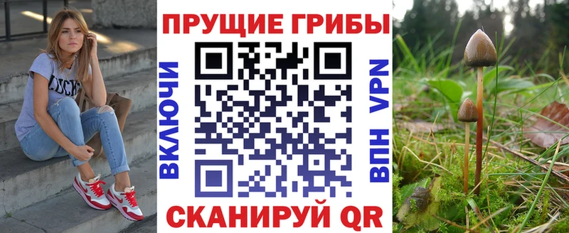 Псилоцибиновые грибы Magic Shrooms  Арамиль 